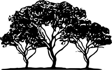 Obraz premium silhouette of a tree