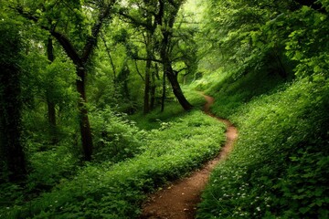 Fototapeta premium Lush woodland path winding through dense greenery