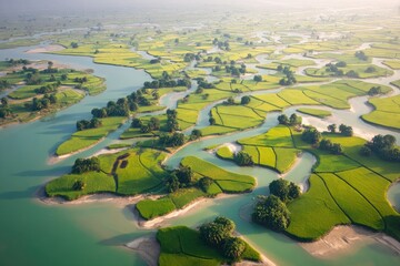 Aerial view of winding river through rice paddies