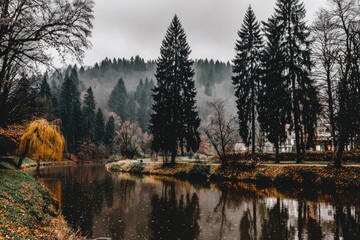 Misty autumnal forest beside a river