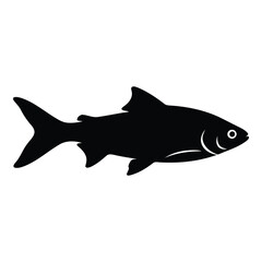 Obraz premium Black silhouette of a fish on a white background isolated