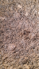 A close-up, high-angle view of textured brown soil and dirt, perfect for agricultural, gardening, or natural background use.