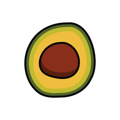 Avocado illustration