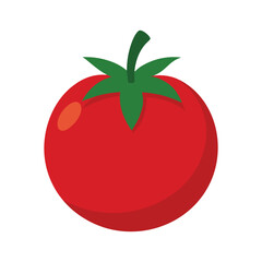 tomato vector illustration