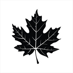Maple Leaf Silhouette Vector – Autumn Nature Botanical Icon