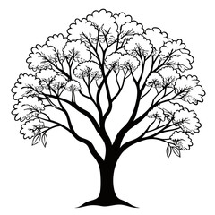 Obraz premium eastern redbud line art vector on white background 