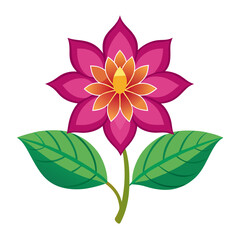 sita ashok flower on white background