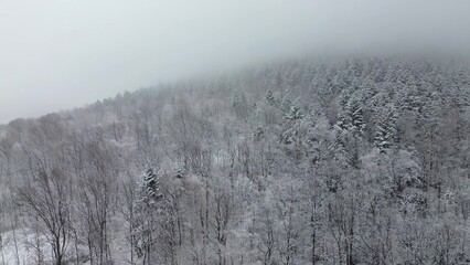 Snow-covered countryside houses and trees in winter