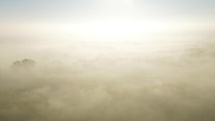 Obraz premium Moody morning fog over autumn landscape