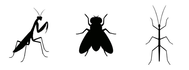 Insect silhouettes: An artistic, symmetrical arrangement of three black insect silhouettes is showcased, each exuding an enigmatic aura. Each form, meticulously crafted against the plain backdrop.