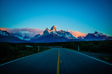 Close up of a winged termite queen with workers on dark wood surface
