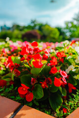 The view of Park at Aomori city in Aomori, Japan