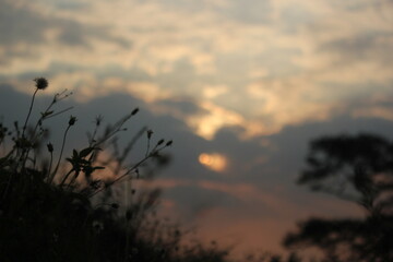 Blur Sunset Background on a Field in a Summer