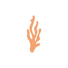 Sea coral and seaweed vector illustration 