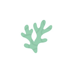 Sea coral and seaweed vector illustration 