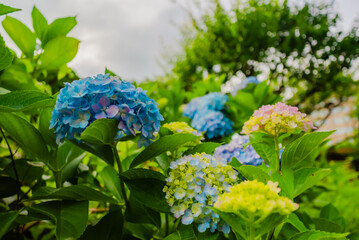 The view of Park at Aomori city in Aomori, Japan