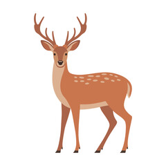 Obraz premium Deer vector illustration on white background.