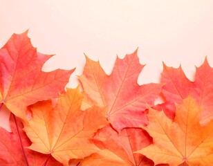 Autumn leaves on pastel background