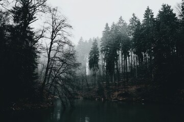 Foggy forest by a still river