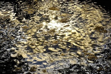Rippled water surface reflecting sunlight, gold and dark patterns