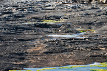 clear water in the rocks of the rocky ocean shore