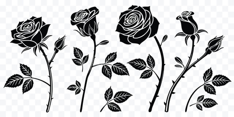 Fototapeta premium Elegant Black and White Rose Illustration Set for Graphic Design Projects and Creative Decorations Perfect for Wedding Invitations and Tattoo Designs