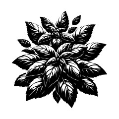Black and White Stylized Basil Leaves Illustration