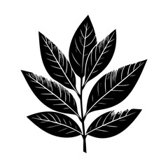Black and White Stylized Leaf Branch Illustration