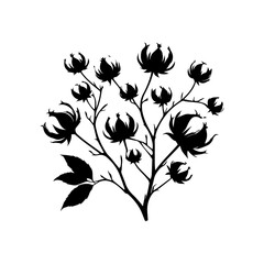Obraz premium Black Silhouette of Cotton Plant Branches
