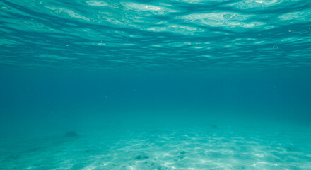 Obraz premium Underwater ocean scene