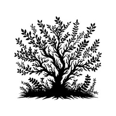 Silhouette of a Lush, Spreading Tree with Foliage