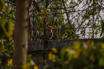 Just a glimpse of freedom.