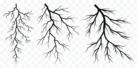 Stylized Branch Silhouettes with Intricate Details for Graphic Design and Artistic Projects Creating Visual Interest with Abstract Black and White Tree Elements