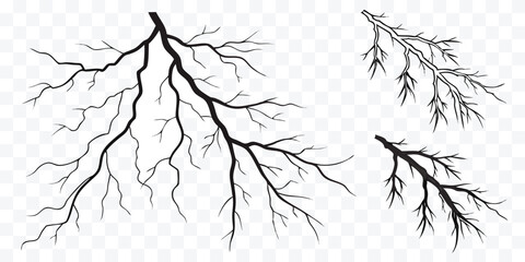 Elegant Tree Branch Silhouettes against a Clean Background Perfect for Design Elements and Artistic Compositions
