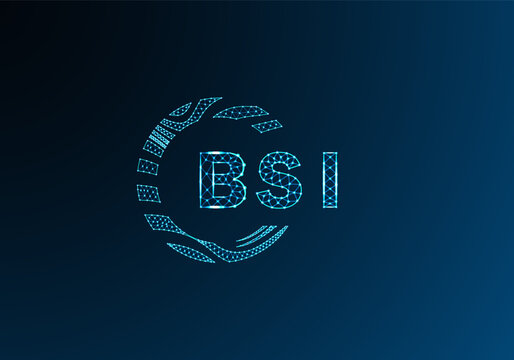 BSI low poly letter logo vector design. BSI lower poly logo design. BSI unique low poly logo design.