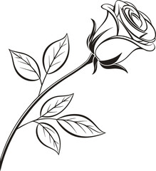 Black and white vector leaf illustration with floral ornament and nature design elements