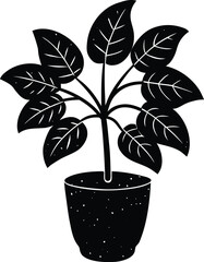 Leafy houseplant silhouette in ceramic pot isolated on transparent background