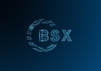 BSX low poly letter logo vector design. BSX lower poly logo design. BSX unique low poly logo design.
