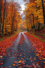 Obraz premium Leaves scattered on road leading into forest.