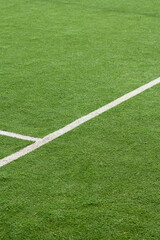 Obraz premium green grass field