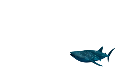 Whale Shark and Massive School of Fish