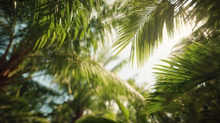 Fototapeta premium The vibrant green foliage of tropical plants under bright sunlight.