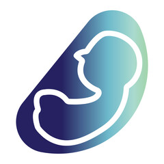 Flat Gradient Fetus In Womb