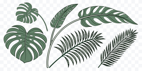 Fototapeta premium Tropical Green Leaves Collection Illustration Featuring Monstera and Palm Fronds for Decoration and Botanical Designs