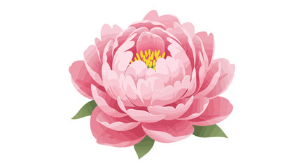 Pink Peony Flower Vector Illustration with Green Leaves
