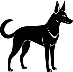 dingo with pointy ears and a lean alert stance