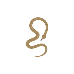 Obraz premium Cute cartoon exotic snake vector illustration 