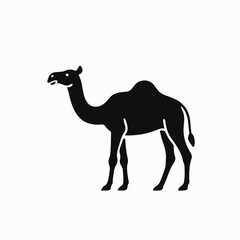 Fototapeta premium Black silhouette of a Camel standing profile, showcasing animal. Simple and stylized drawing exhibits clear details in desert animal, its characteristic humps,