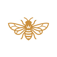 Golden Bee with Crown: Elegant Line Art Insect Design
