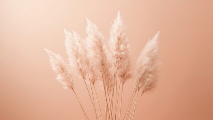 Obraz premium Elegant pampas grass plumes in soft beige tones, a trendy and minimal floral decoration for a boho home interior, on a neutral background